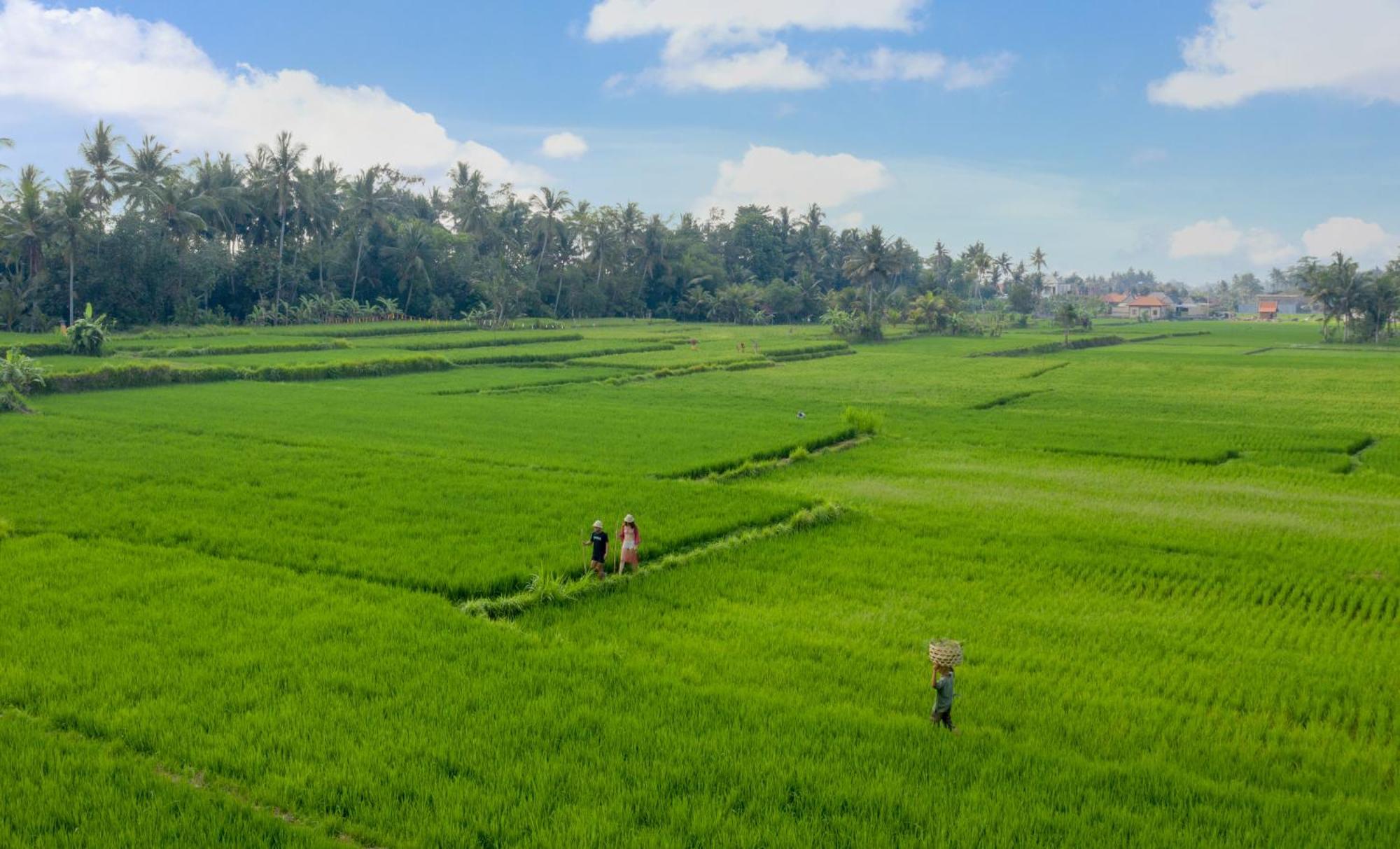 Thewakanda Resort A Pramana Experience Ubud Dış mekan fotoğraf